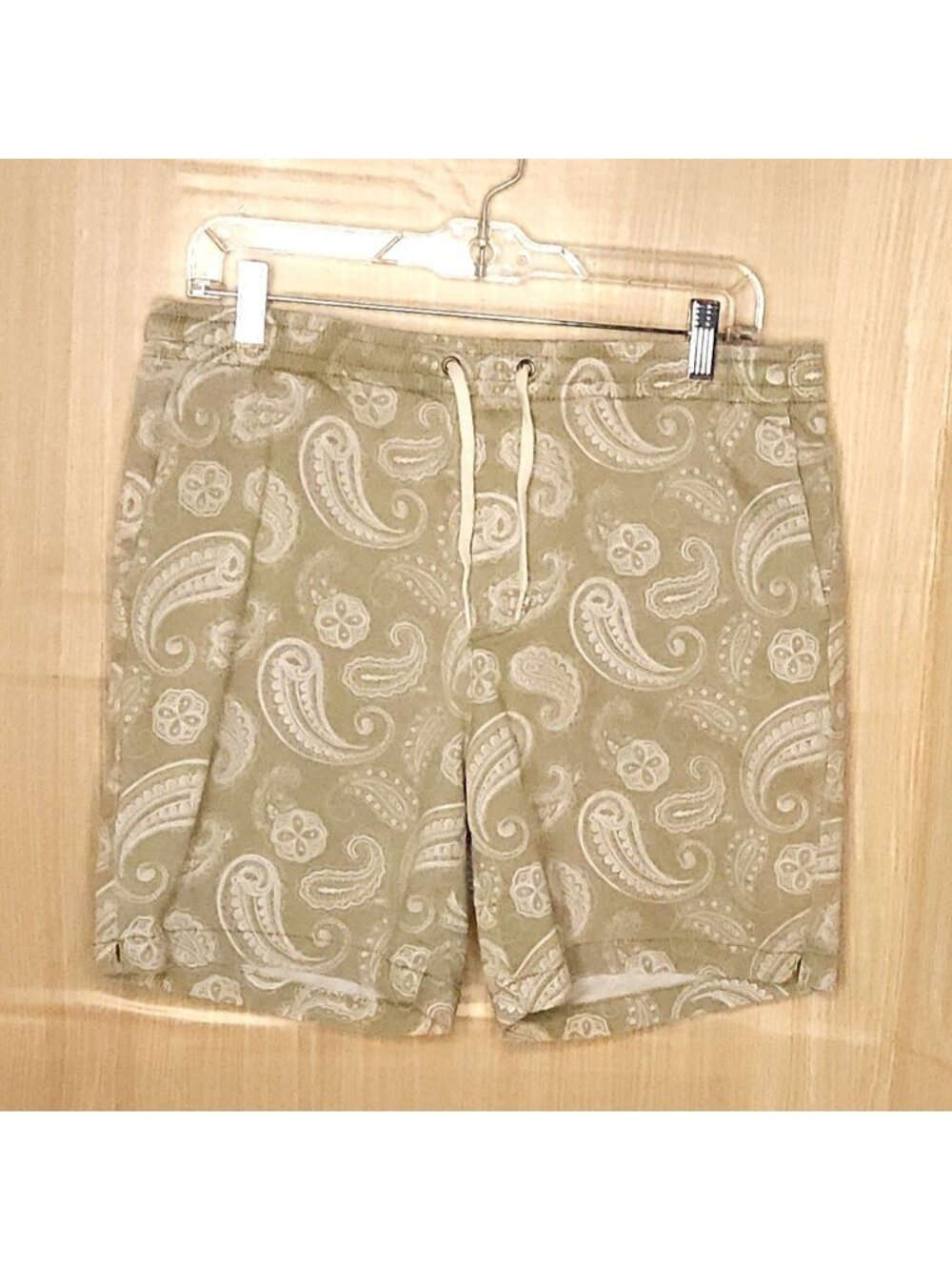 Pacsun Mens Volley Green Paisley Shorts Medium